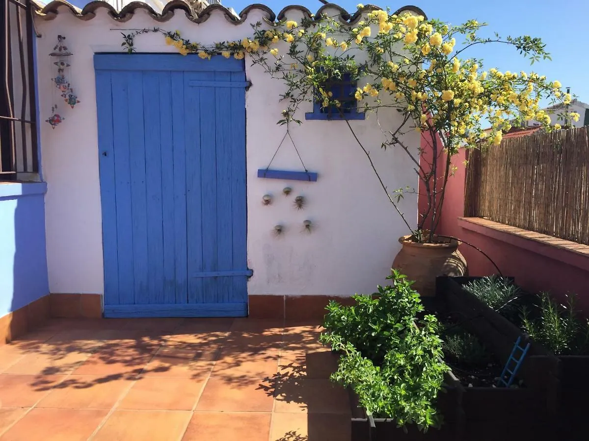 Atico Deluxe San Basilio Apartment Cordoba